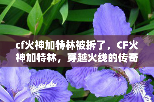 cf火神加特林被拆了图片
