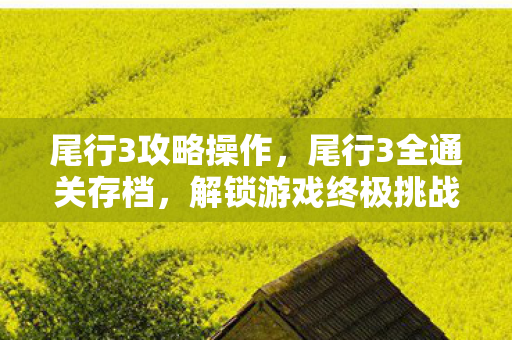 解锁游戏终极挑战的秘籍图片