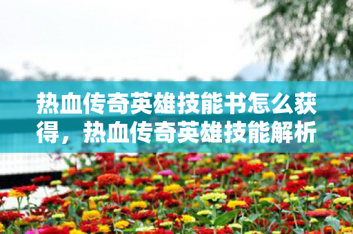 热血传奇英雄技能书怎么获得图片