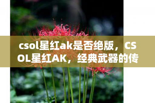 csol星红ak是否绝版图片