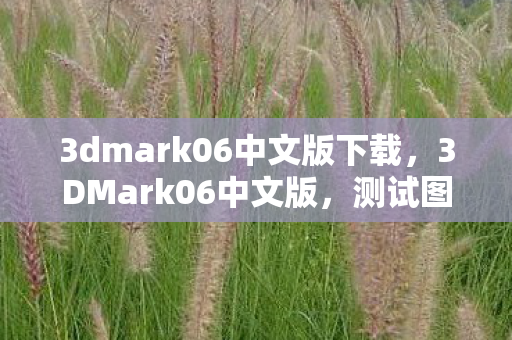 3dmark06中文版下载图片