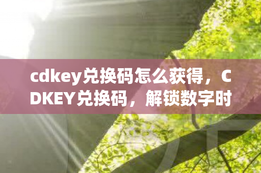 cdkey兑换码怎么获得图片