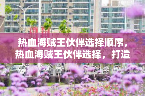 热血海贼王伙伴选择顺序图片