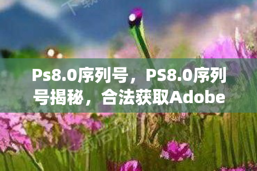 合法获取Adobe Photoshop的密钥图片