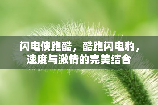 速度与激情的完美结合图片