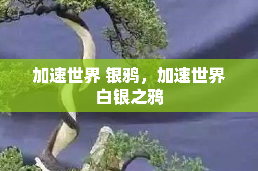 加速世界白银之鸦图片