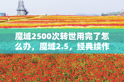 魔域2500次转世用完了怎么办图片
