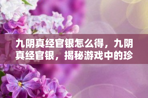 揭秘游戏中的珍贵货币图片