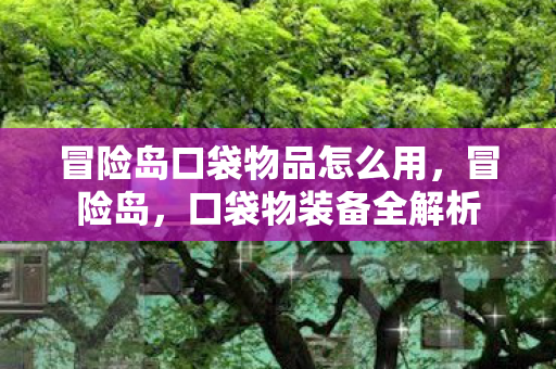 冒险岛口袋物品怎么用图片