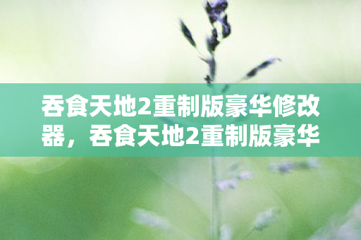 吞食天地2重制版豪华版修改器图片