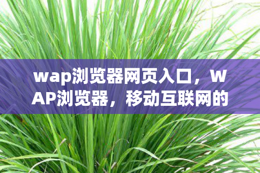 wap浏览器网页入口图片