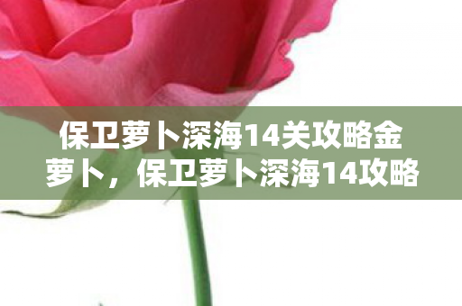 保卫萝卜深海14攻略金萝卜布阵图图片