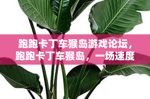 一场速度与激情的冒险之旅图片