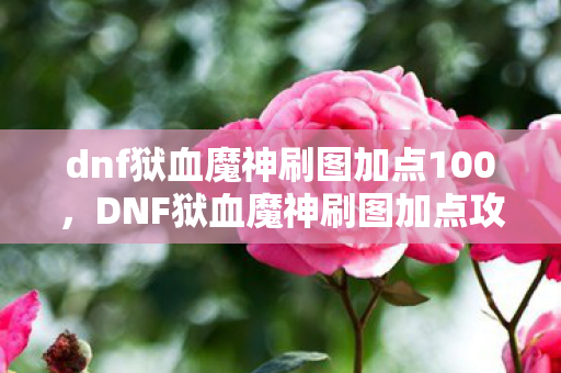 dnf狱血魔神刷图加点100图片