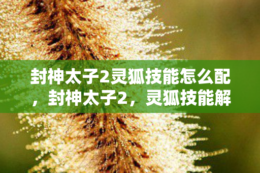 封神太子2灵狐技能怎么配图片