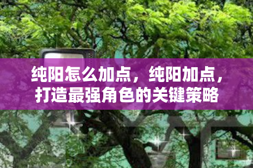 打造最强角色的关键策略图片