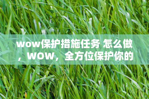 wow保护措施任务 怎么做图片