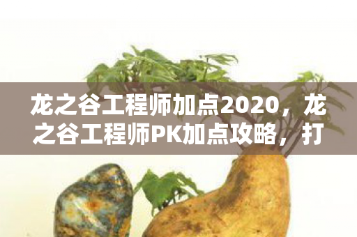 龙之谷工程师加点2020图片
