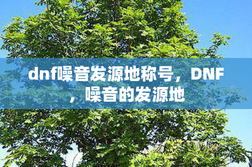 dnf噪音发源地称号图片