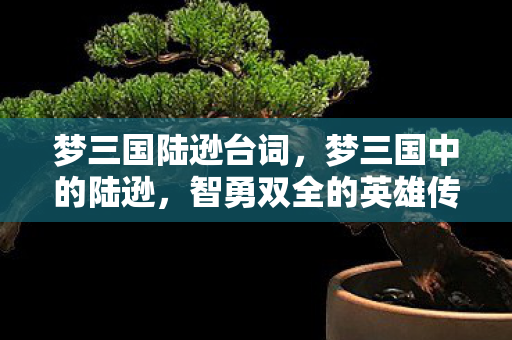 梦三国陆逊台词，梦三国中的陆逊，智勇双全的英雄传奇