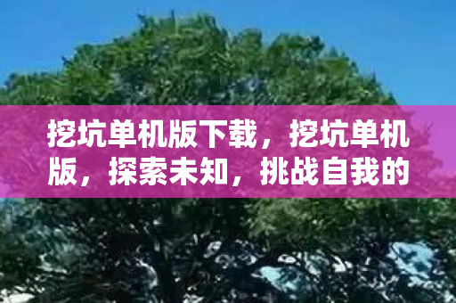 挑战自我的游戏之旅图片