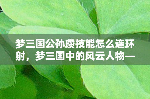 梦三国公孙瓒技能怎么连环射，梦三国中的风云人物—公孙瓒