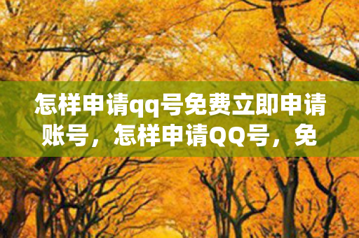 怎样申请qq号免费立即申请账号图片