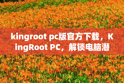 kingroot pc版官方下载图片