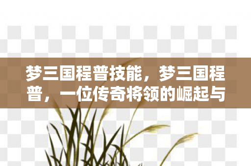 梦三国程普技能，梦三国程普，一位传奇将领的崛起与辉煌