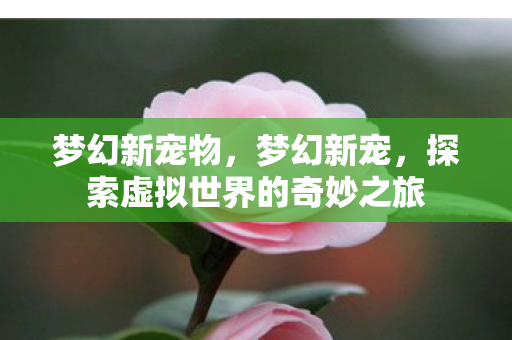 探索虚拟世界的奇妙之旅图片