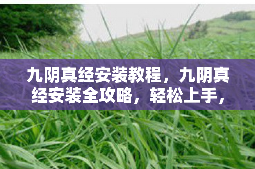 九阴真经安装全攻略图片