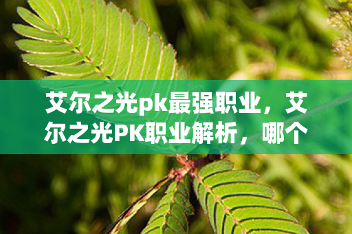 艾尔之光pk最强职业图片