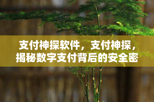 揭秘数字支付背后的安全密码图片