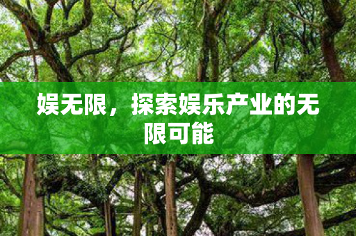 探索娱乐产业的无限可能图片