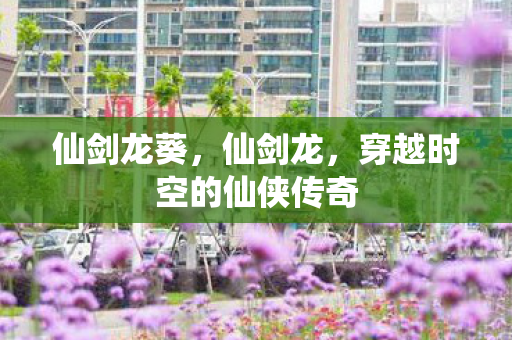 穿越时空的仙侠传奇图片