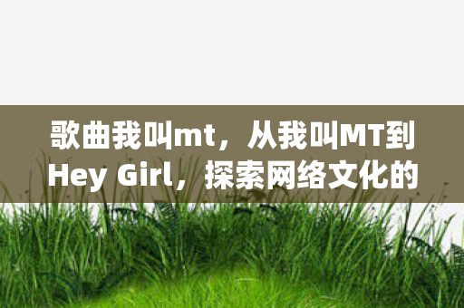 从我叫MT到Hey Girl图片