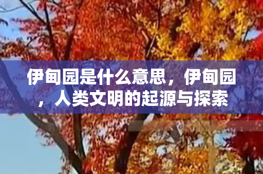 人类文明的起源与探索图片