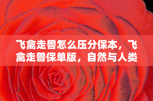 飞禽走兽怎么压分保本图片