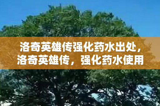 洛奇英雄传强化药水出处图片