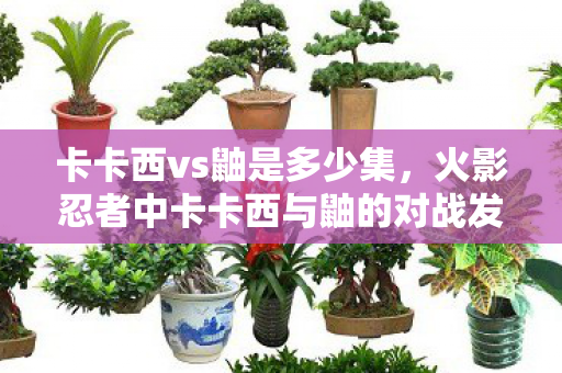 火影忍者中卡卡西与鼬的对战发生在动画第84集图片