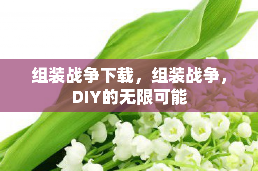 DIY的无限可能图片