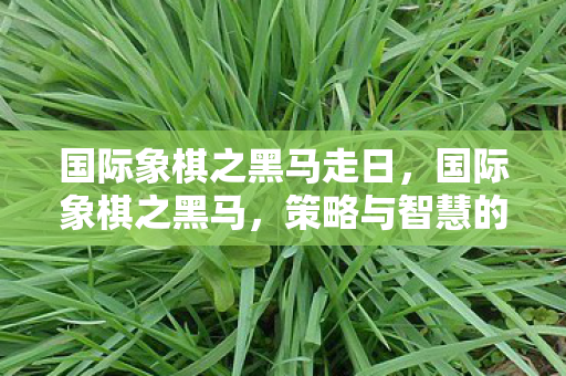 国际象棋之黑马走日图片