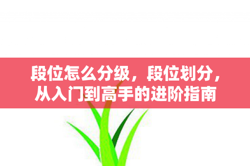 从入门到高手的进阶指南图片