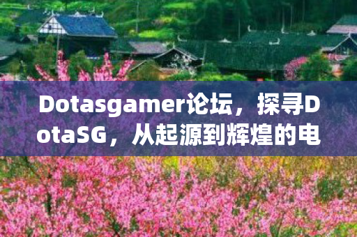 Dotasgamer论坛图片