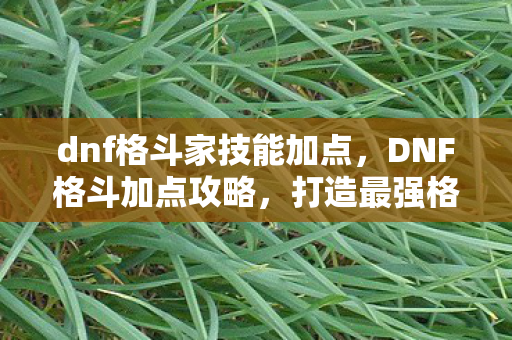 dnf格斗家技能加点图片