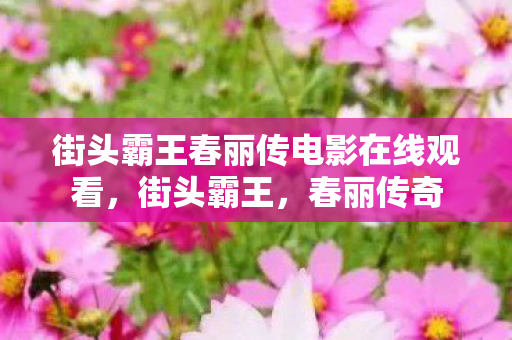 街头霸王春丽传电影在线观看图片