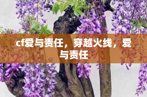 cf爱与责任图片