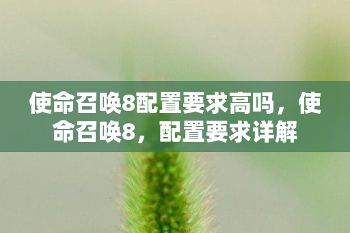 使命召唤8配置要求高吗图片