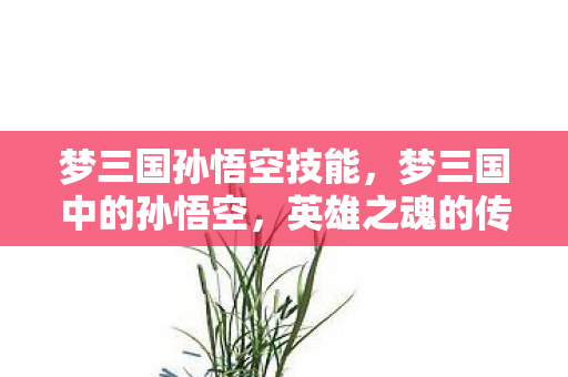 梦三国孙悟空技能，梦三国中的孙悟空，英雄之魂的传奇故事