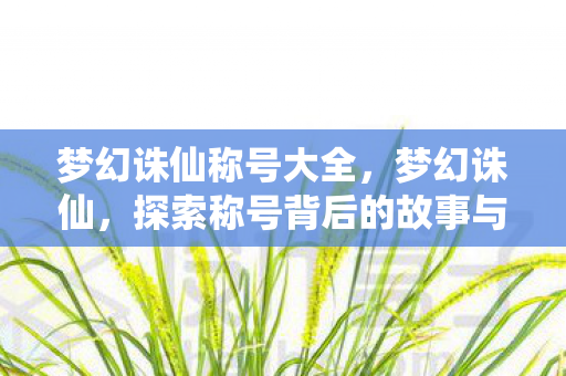 探索称号背后的故事与意义图片